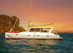 50 ft day sailor