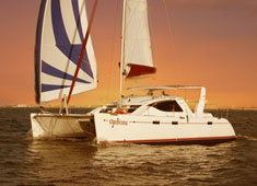 40 ft catamaran